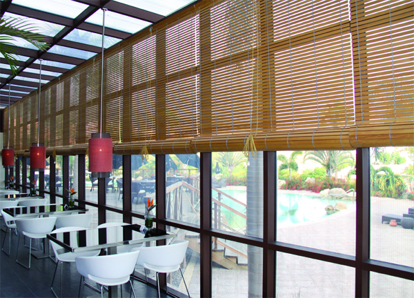 Προεπισκόπιση